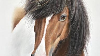 Gemälde von Iris Konle