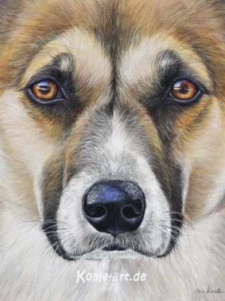 Gemälde von Iris Konle